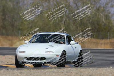 media/Mar-29-2025-Pro Autosports (Sat) [[89b1c017ad]]/3-New Members-Red Group/Session 2 Back Straight Speed Pans/